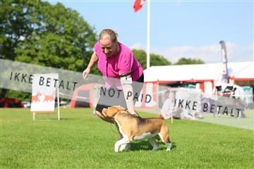 181564_rin_01_R62_0575.JPG