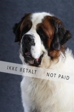 132082_le_ 01_IMG_0758.JPG