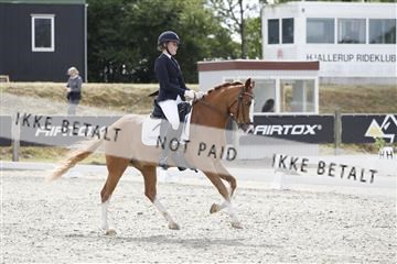 166078_rhj_01_166078_rhj_01__J7R1147.JPG