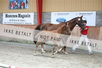 181868_mtp_03_R62_6073.JPG