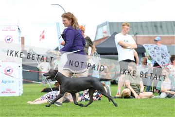181564_rin_01_R62_8898.JPG