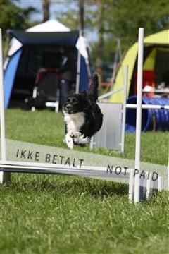 134871_ms_04_IMG_0059.JPG