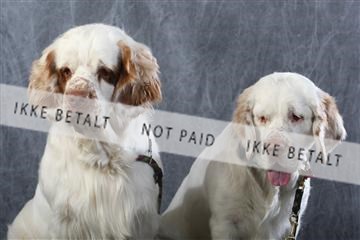 129608_le_ 01_0731.JPG