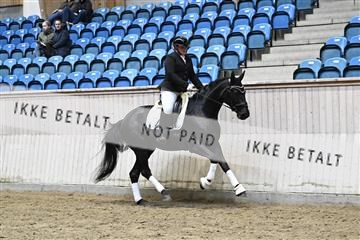 182241_kbb_01_Z093333.JPG