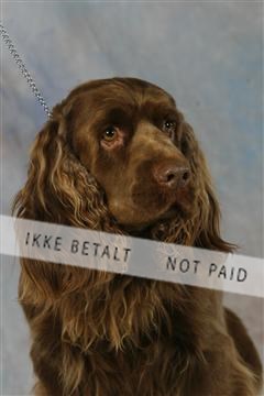 5493_sme _03__MG_9800.JPG