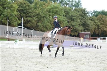 181923_mtp_01_R62_6704.JPG