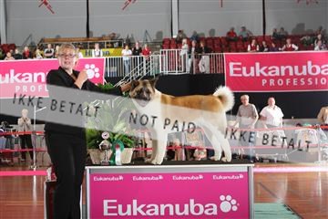 6068_ma_05_IMG_5675.JPG