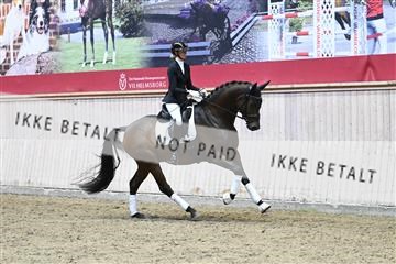 182241_kbb_01_Z094647.JPG