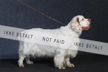 132082_le_ 01_IMG_1018.JPG