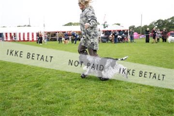 182009_kar_01__62_6259.JPG