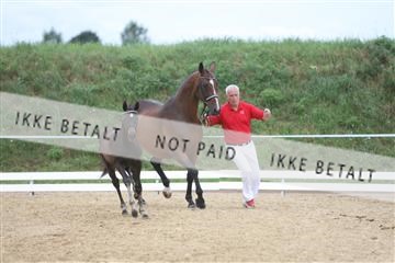 125406_sc_02_IMG_0336.jpg