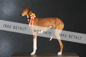 132082_le_ 01_IMG_0068.JPG