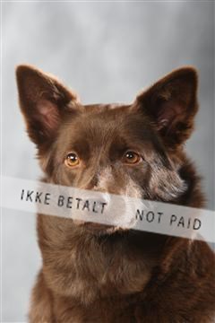 129608_le_ 01_0947.JPG