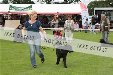 130370_tl_01_IMG_7096.JPG