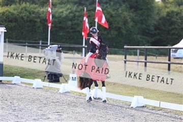 181894_mtp_05_R62_5775.JPG