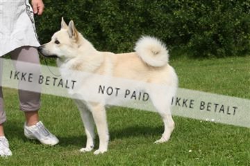 130370_le_02_IMG_8167.JPG