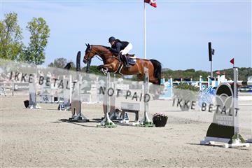 181436_avh_02_4054.JPG