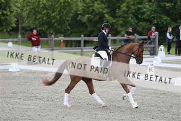 172030_mtp_01_3M5A1499.JPG