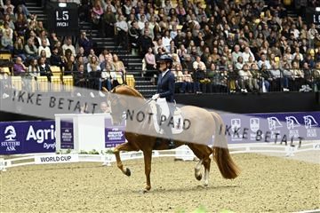 182194_kbb_03_Z091870.JPG