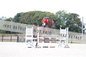 181755_tbj_01R62_2614.JPG