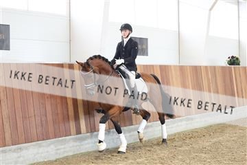 174363_kbb_01_R6II8074.JPG