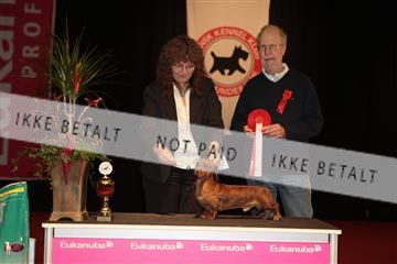 126827_tl_02_IMG_3043.JPG