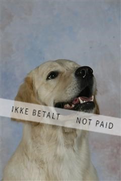 5493_sme _03__MG_9867.JPG