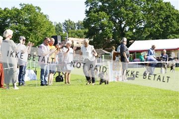 181564_kar_01__62_8210.JPG