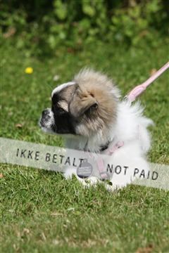 130370_se_02_IMG_6047.JPG