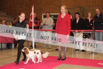 124188 _tl_02_IMG_9198.JPG