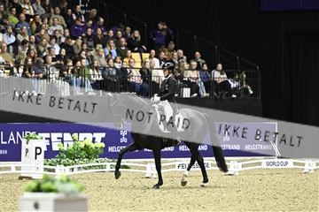 182194_kbb_03_Z092259.JPG