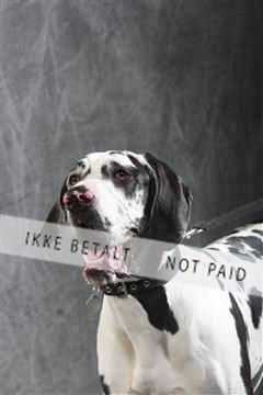 129608_le_ 01_0688.JPG