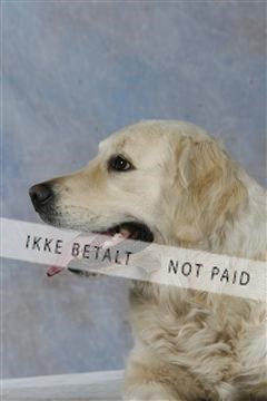 5493_sme _03__MG_9874.JPG