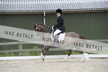 139898_ms_01__MS27649.JPG