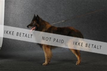 132082_le_ 01_IMG_0949.JPG