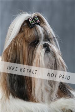 128239_le_kort_ 01_0385.JPG