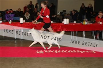 133496_ms_01_IMG_9177.JPG