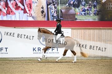 181957_kbb_02_Z099565.JPG