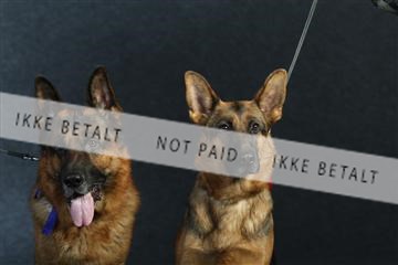 132082_le_ 01_IMG_0919.JPG