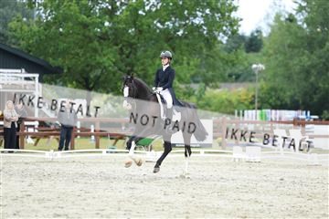 181923_mtp_01_R62_6758.JPG