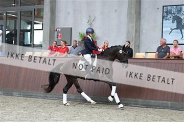 181852_mtp_05_R62_3137.JPG