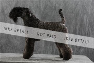 128239_le_kort_ 01_0315.JPG