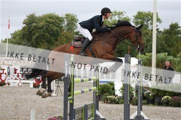 152762_nn _05_IMG_7721.JPG