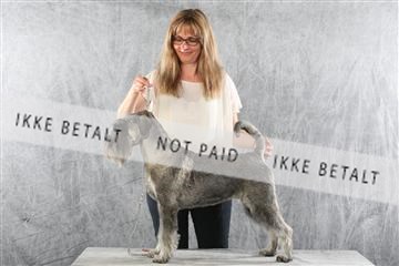 129608_le_ 02_0434.JPG