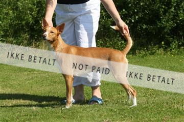 130370_se_03_IMG_6869.JPG