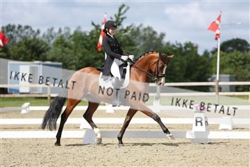 156196_nn_01_IMG_5702.JPG