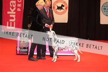 126827_tl_04_IMG_0046.JPG