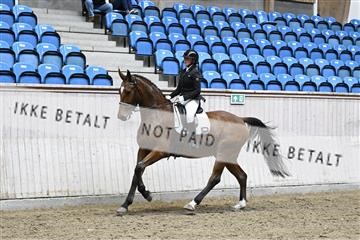 182241_kbb_01_Z095332.JPG
