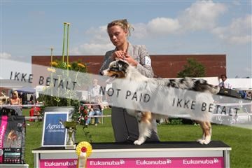 130370_se_03_IMG_7491.JPG