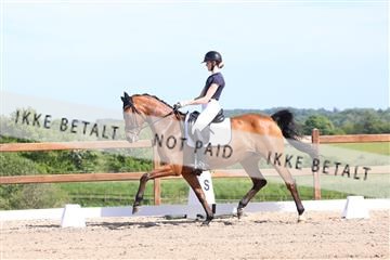 181449_bc_01R62_5918.JPG